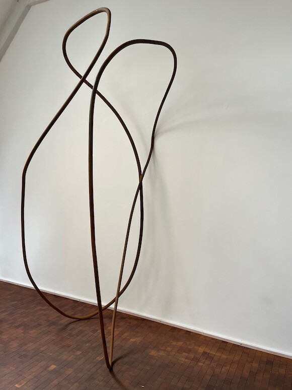 de la serie SEMILLAS